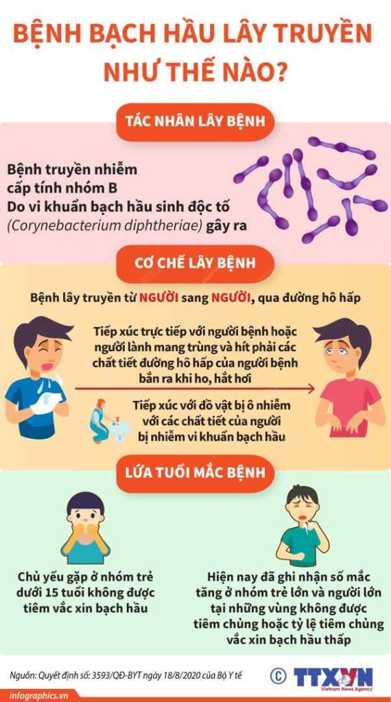 3.Bệnh bạch hầu lây truyền như thế